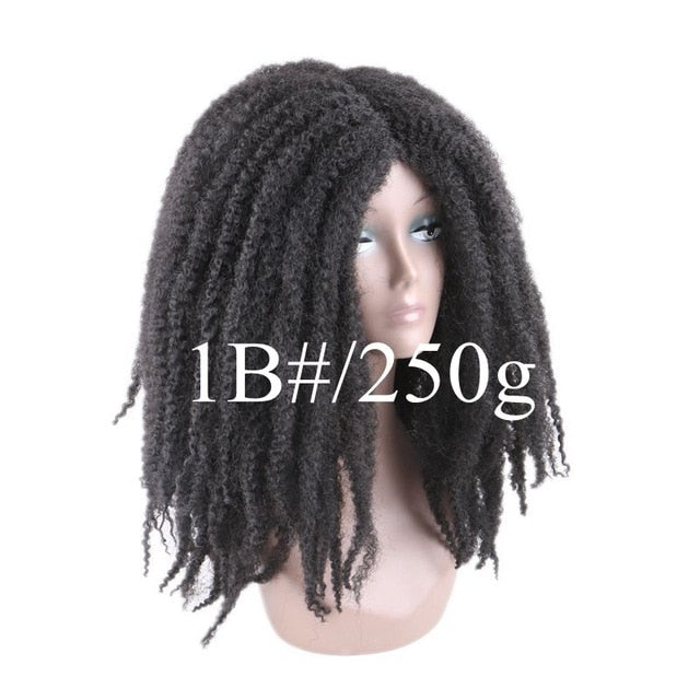 Afro Kinky Curly kanekalon Synthetic Wig