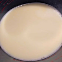 Load image into Gallery viewer, Organic Rice Milk + Fenugreek (fermented rice water, rice milk, ayurvedic, moisturizer, organic, rice water, conditioner)