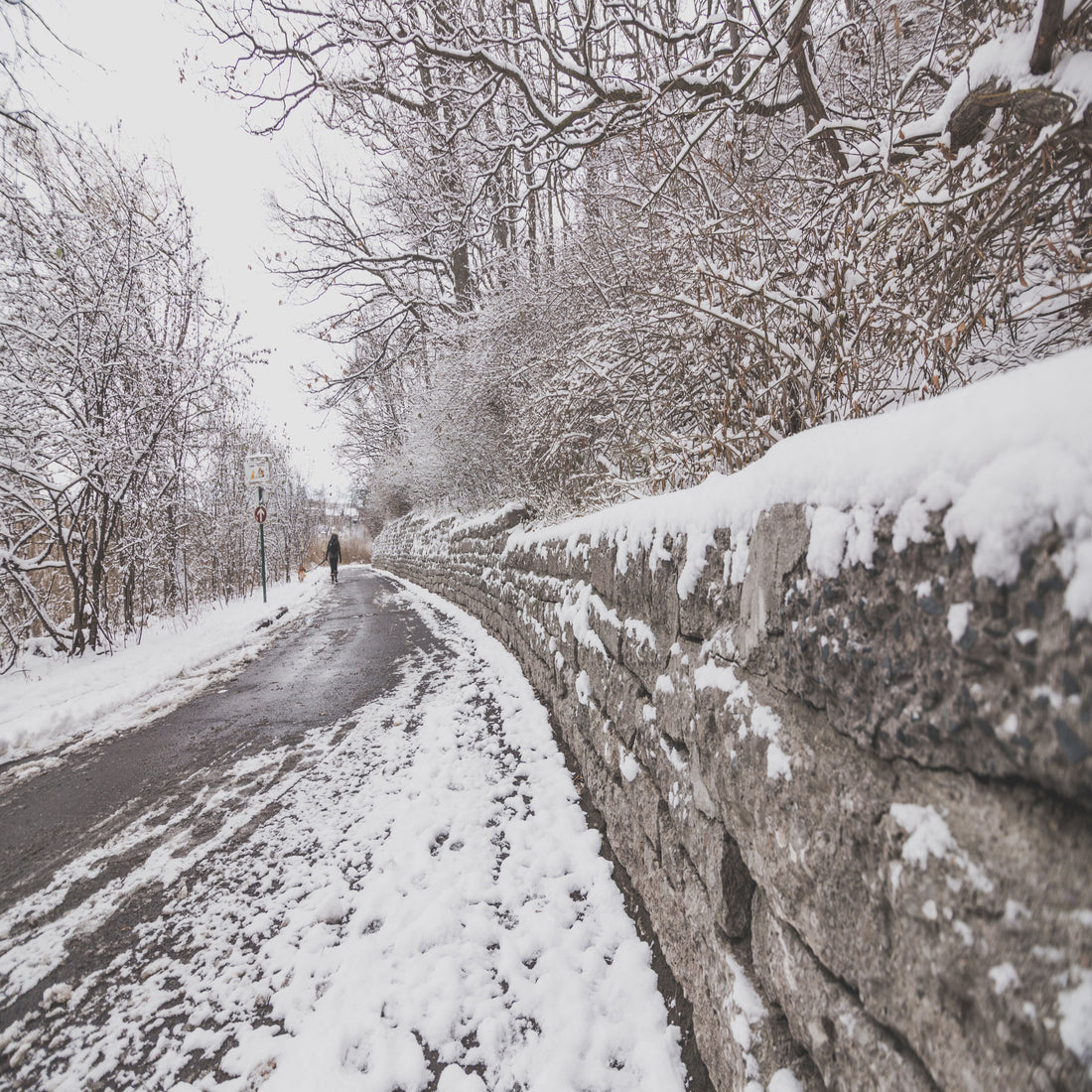Caring for your natural hair in winter