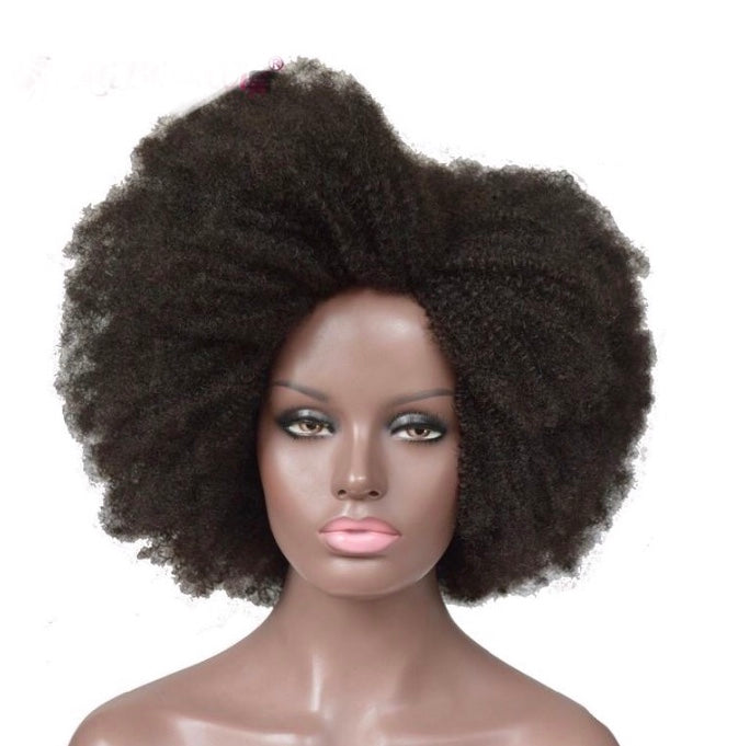Afro Kinky Curly Brazilian Remy Human Hair Wig -  4C/4B Texture