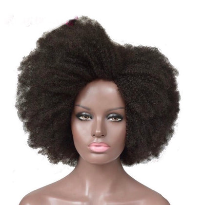Afro Kinky Curly Brazilian Remy Human Hair Wig -  4C/4B Texture