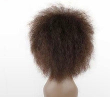 Load image into Gallery viewer, Short Kinky Curly Afro Wig - Fluffy Cosplay
