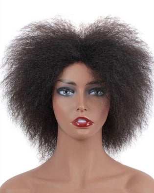 Short Kinky Curly Afro Wig - Fluffy Cosplay