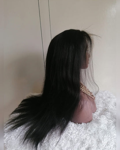 Top Raw Virgin Straight Human Hair Lace Wig - Ruth