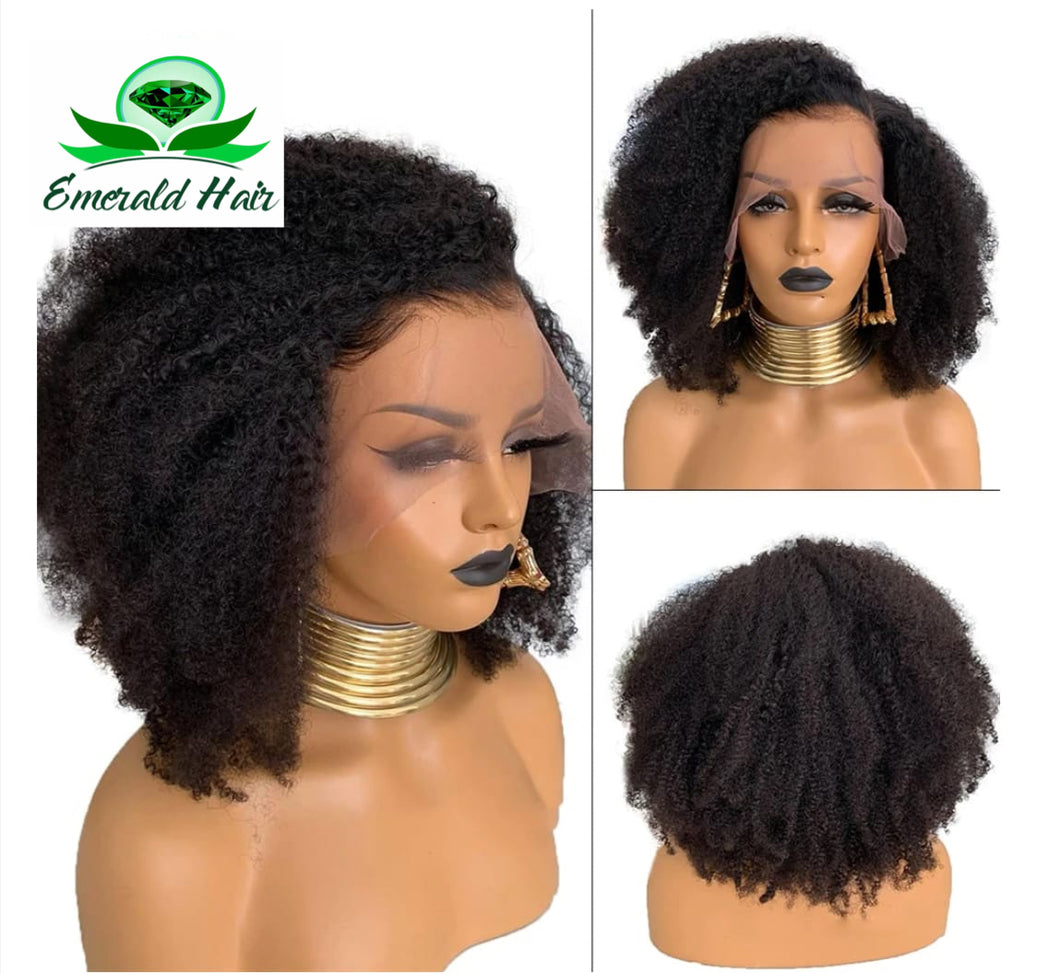 Mongolian Curly Afro Kinky Remy Wig - Mikaela