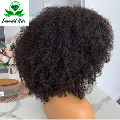 Mongolian Curly Afro Kinky Remy Wig - Mikaela