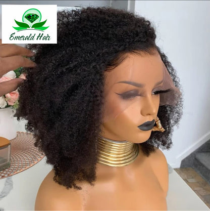 Mongolian Curly Afro Kinky Remy Wig - Mikaela