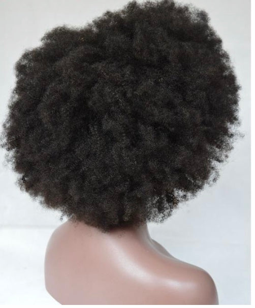 Afro Kinky Curly Brazilian Remy Human Hair Wig -  4C/4B Texture