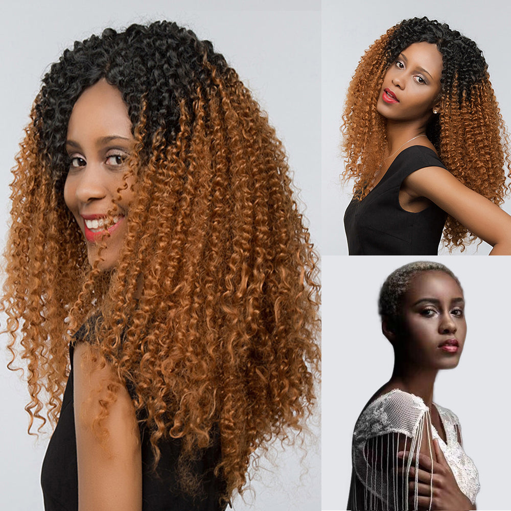 Kinky Curly Synthetic Lace Front Wig - Ombre Caramel Highlights