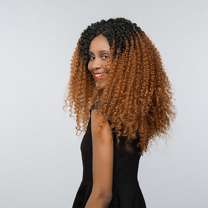 Kinky Curly Synthetic Lace Front Wig - Ombre Caramel Highlights