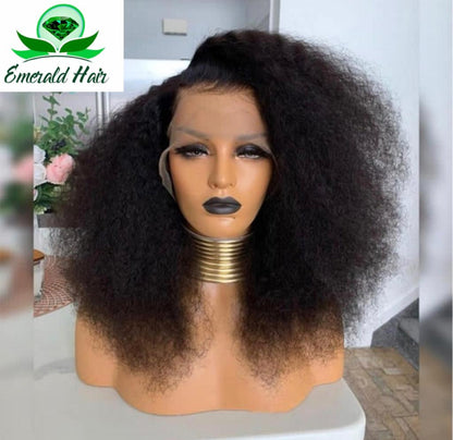 Brazilian Afro Kinky Curly Wig - Nadia