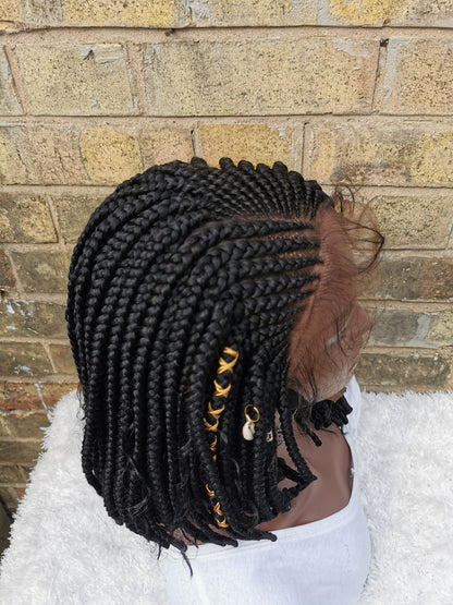 Braids Wig - Lace Front style - Tayo