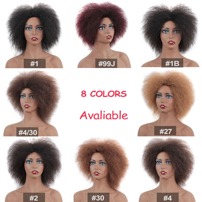 Short Kinky Curly Afro Wig - Fluffy Cosplay