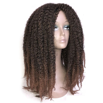 Afro Kinky Curly kanekalon Synthetic Wig