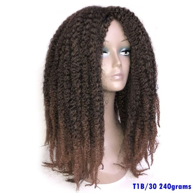 Afro Kinky Curly kanekalon Synthetic Wig