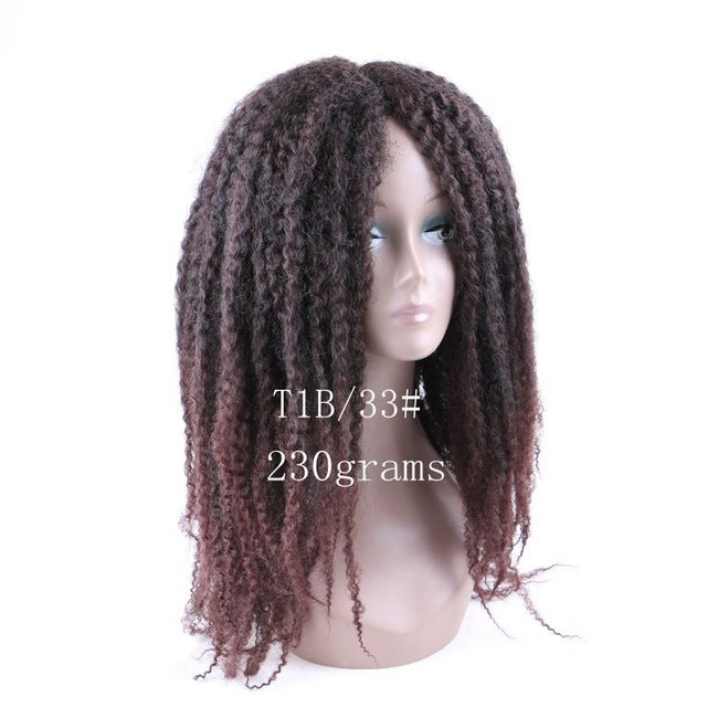 Afro Kinky Curly kanekalon Synthetic Wig