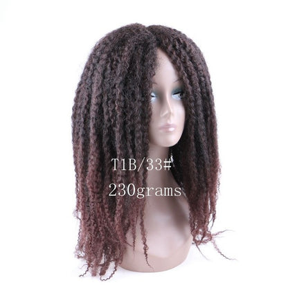 Afro Kinky Curly kanekalon Synthetic Wig