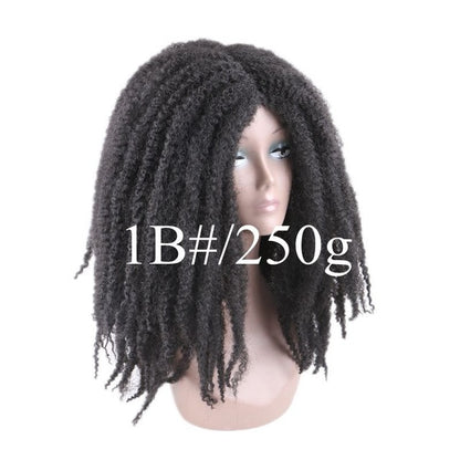 Afro Kinky Curly kanekalon Synthetic Wig