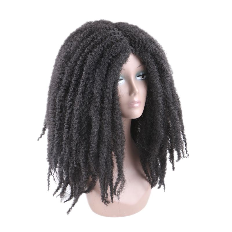 Afro Kinky Curly kanekalon Synthetic Wig
