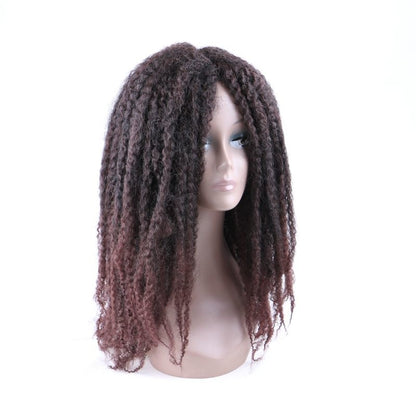 Afro Kinky Curly kanekalon Synthetic Wig