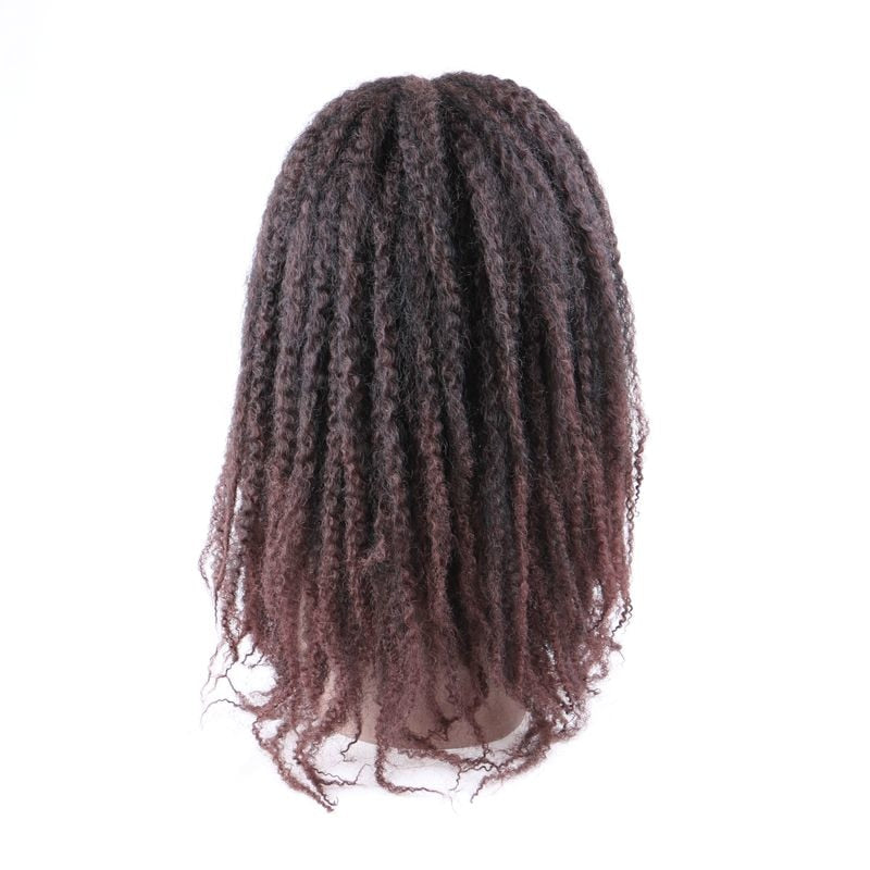 Afro Kinky Curly kanekalon Synthetic Wig