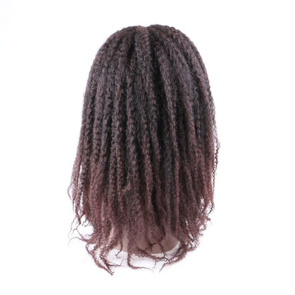 Afro Kinky Curly kanekalon Synthetic Wig