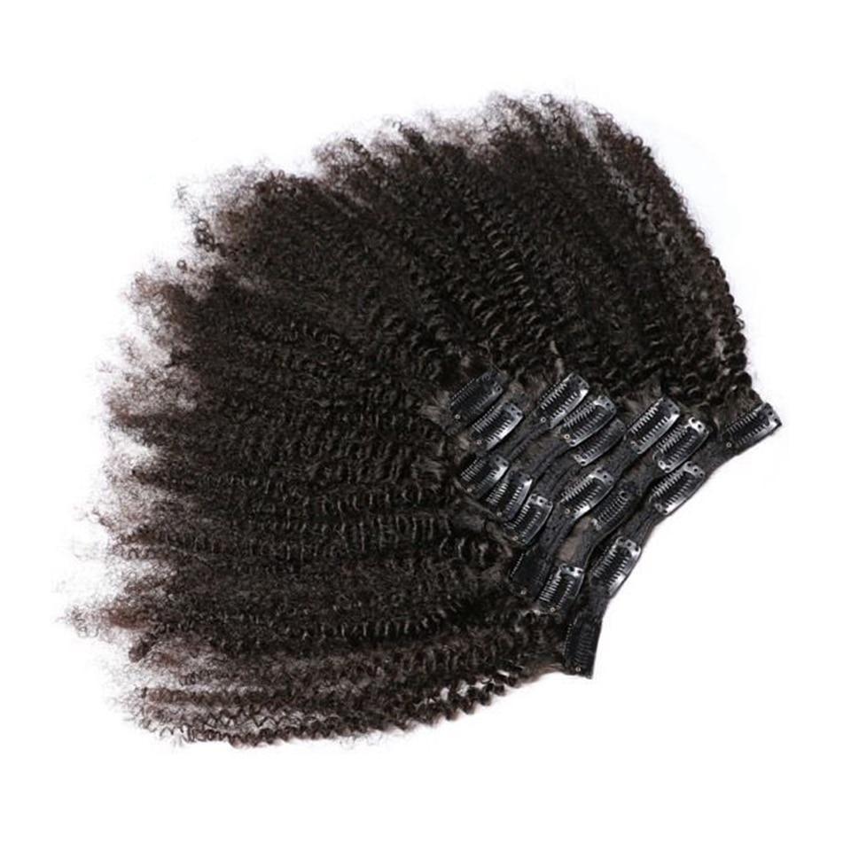 Afro Kinky Curly Clip-In Brazilian Human Hair Extensions