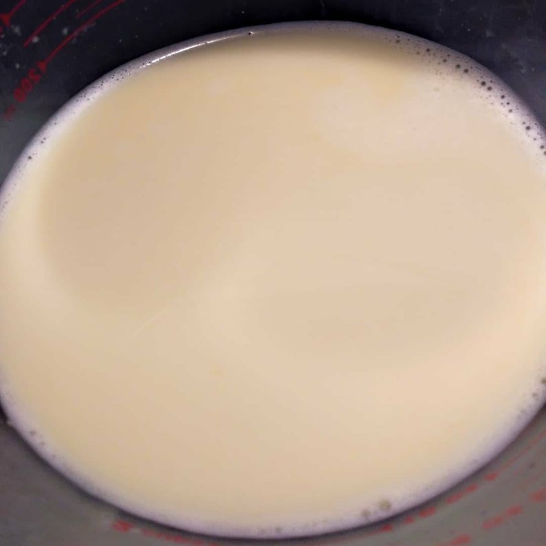 Organic Rice Milk + Fenugreek (fermented rice water, rice milk, ayurvedic, moisturizer, organic, rice water, conditioner)